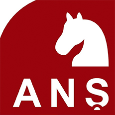 Logo Academia națională de șah