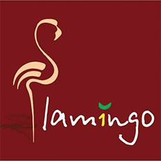 Logo Flamingo Tur